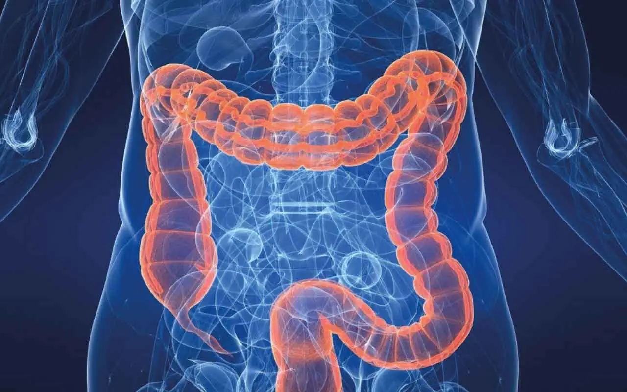 Intestino intossicato: ecco i sintomi comuni che tutti ignorano