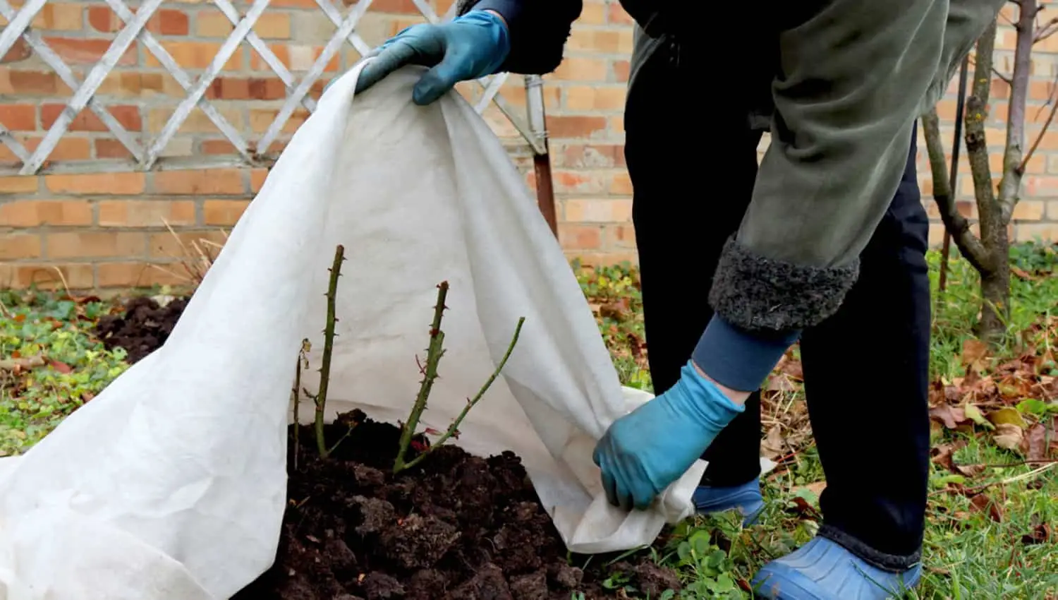 Metti questo telo nell’orto: è il segreto per eliminare le erbacce senza fatica