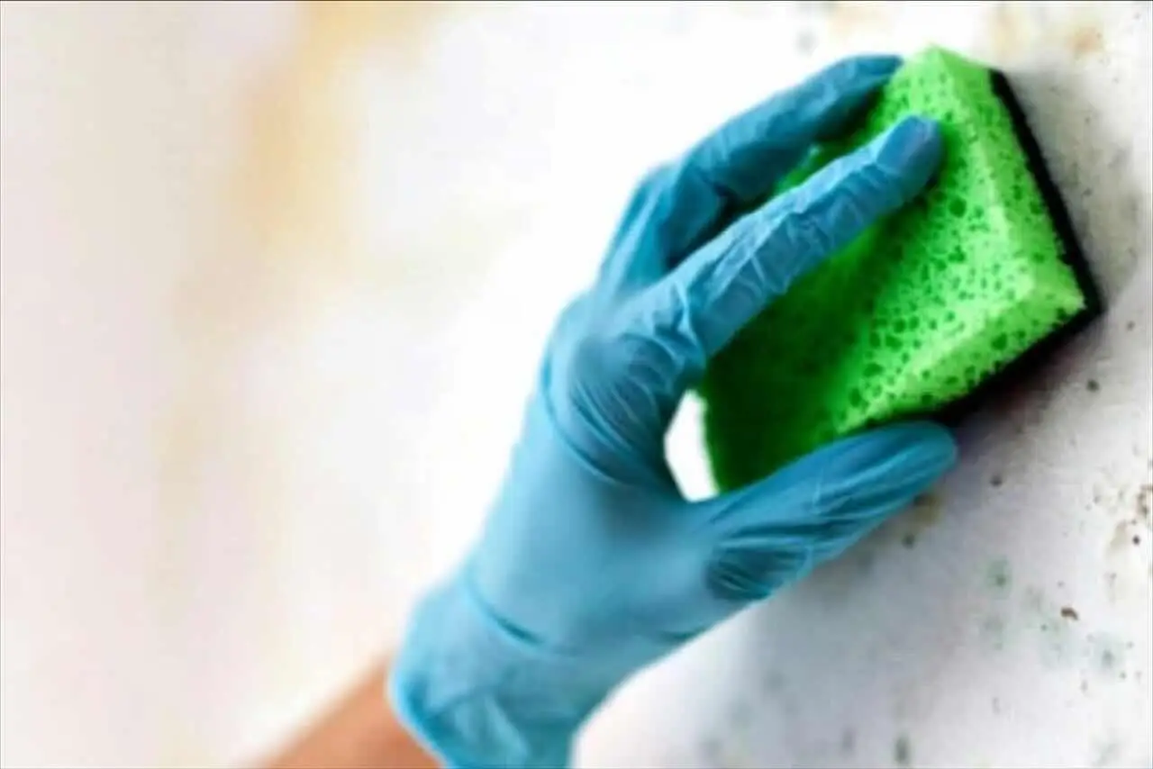 Stracci e spugne pieni di batteri: ecco il metodo definitivo per lavarli e disinfettarli