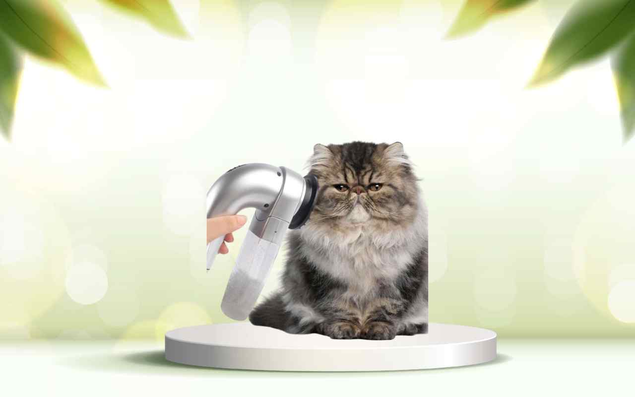 Elimina i peli degli animali in casa con SpazzolAmica: prova l’aspiratore innovativo